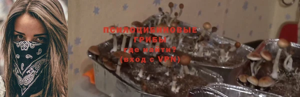 МДМА Сясьстрой