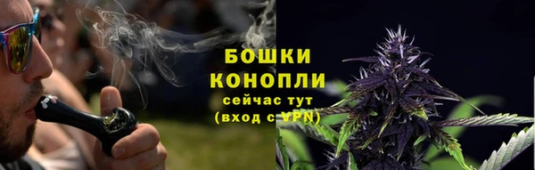 ПСИЛОЦИБИНОВЫЕ ГРИБЫ Тобольск