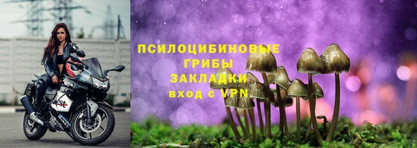spice Тихвин