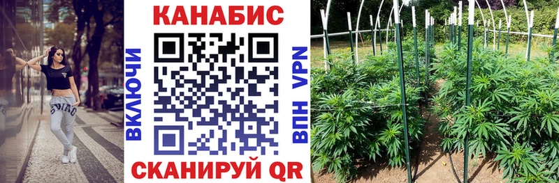 МАРИХУАНА конопля  Староминская 
